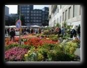 Bancarelle di fiori