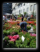 Bancarelle di fiori