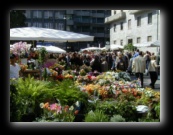 Bancarelle di fiori