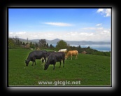 Lago di Bracciano - Roma - Foto di Luca Cambr&eacute;