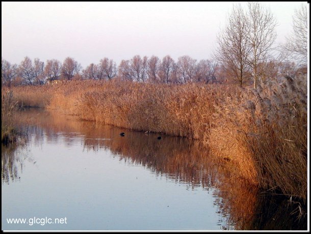 602x451 pixels (70K)