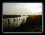 Ferrara e dintorni - Foto di Luca Cambré