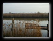 Ferrara e dintorni - Foto di Luca Cambré