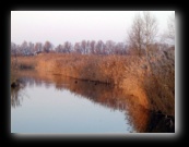 Ferrara e dintorni - Foto di Luca Cambré