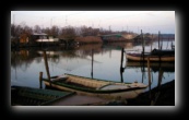 Ferrara e dintorni - Foto di Luca Cambré