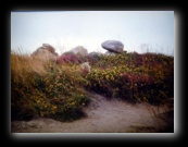 Costa di Granito Rosa (La Côte de Granit Rose - Côtes-d'Armor)