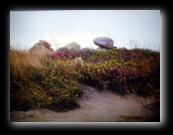 Costa di Granito Rosa (La Côte de Granit Rose - Côtes-d'Armor)