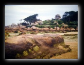 Costa di Granito Rosa (La Côte de Granit Rose - Côtes-d'Armor)