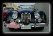 Jaguar XK120 (1950) - Foto di Luca Cambré