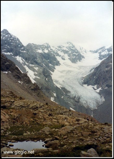 430x601 pixels (62K)
