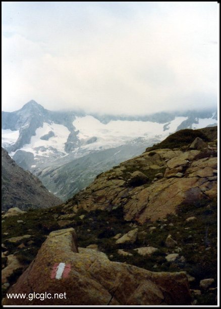 430x601 pixels (50K)