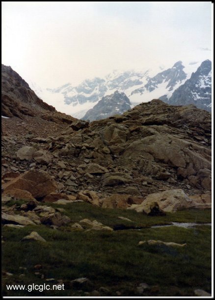 430x601 pixels (56K)
