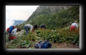 CAI Milano - Rifugio Porro - Mantovani
Foto di Luca Cambré