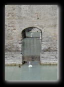 Lago di Garda - Sirmione - Catullo