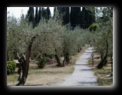 Lago di Garda - Sirmione - Catullo