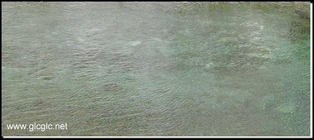 602x263 pixels (43K)